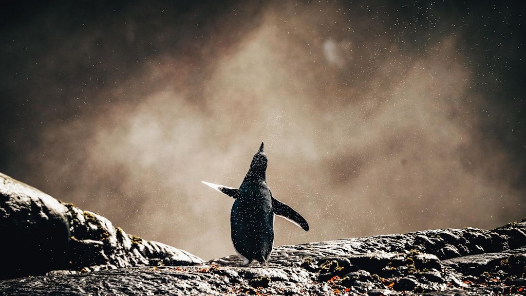8 Incredible Ways Animals Communicate Beyond Words and Sounds