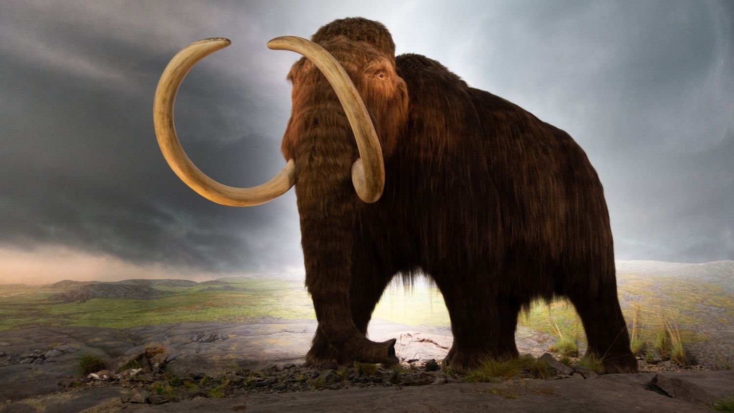 Could We Really Bring Extinct Animals Back to Life?