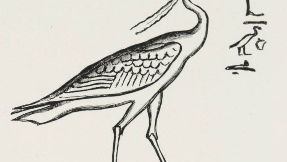 What Mythical Bird Are You According to Your Zodiac Sign