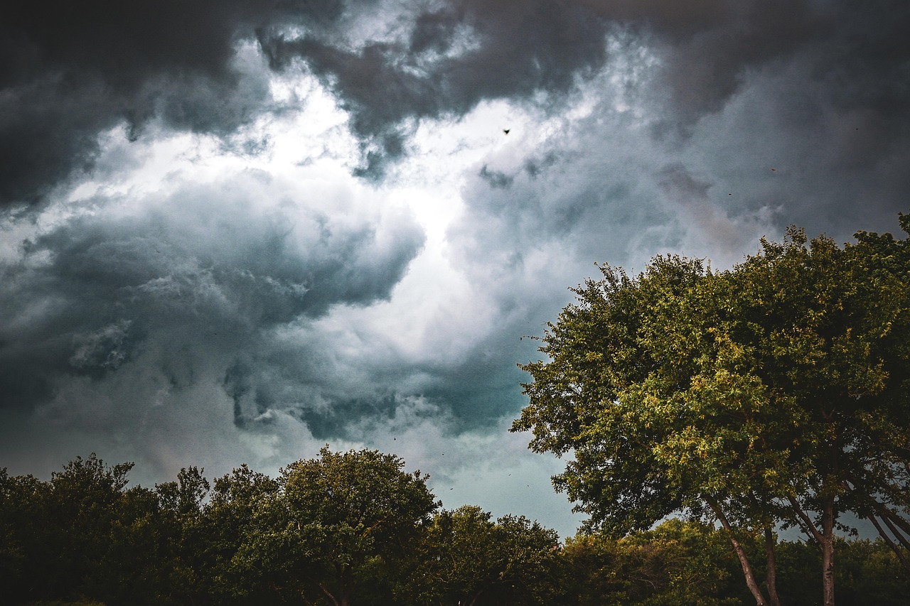 Texas Enjoys Milder Temperature Ahead of a Potentially Chillier Weekend