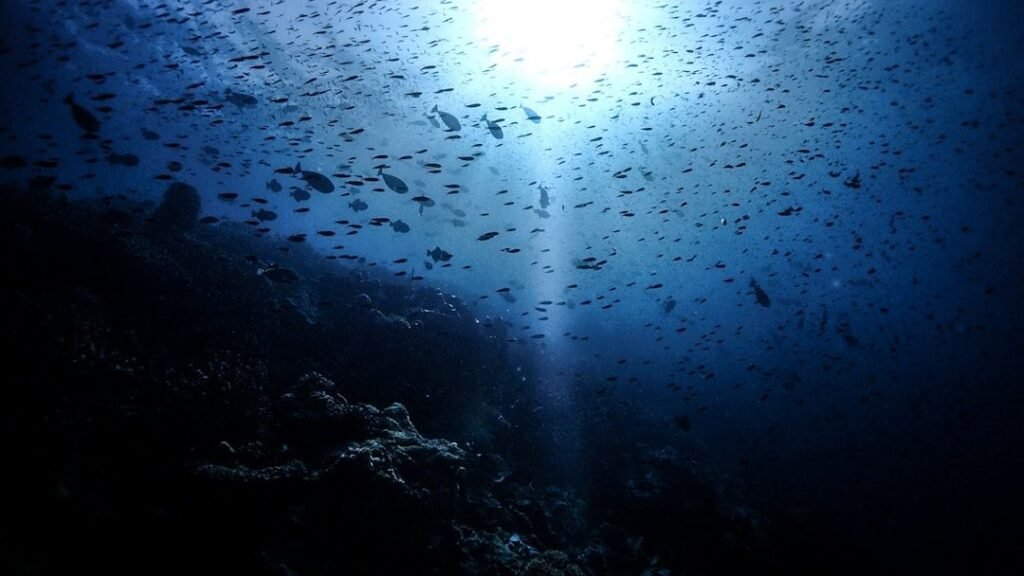 8 Unexplained Sounds From Earth That Scientists Are Still Puzzled By