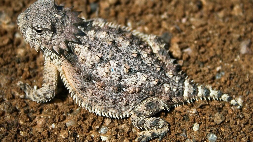 7 Bizarre Biological Adaptations That Let Animals Survive Extreme Environments