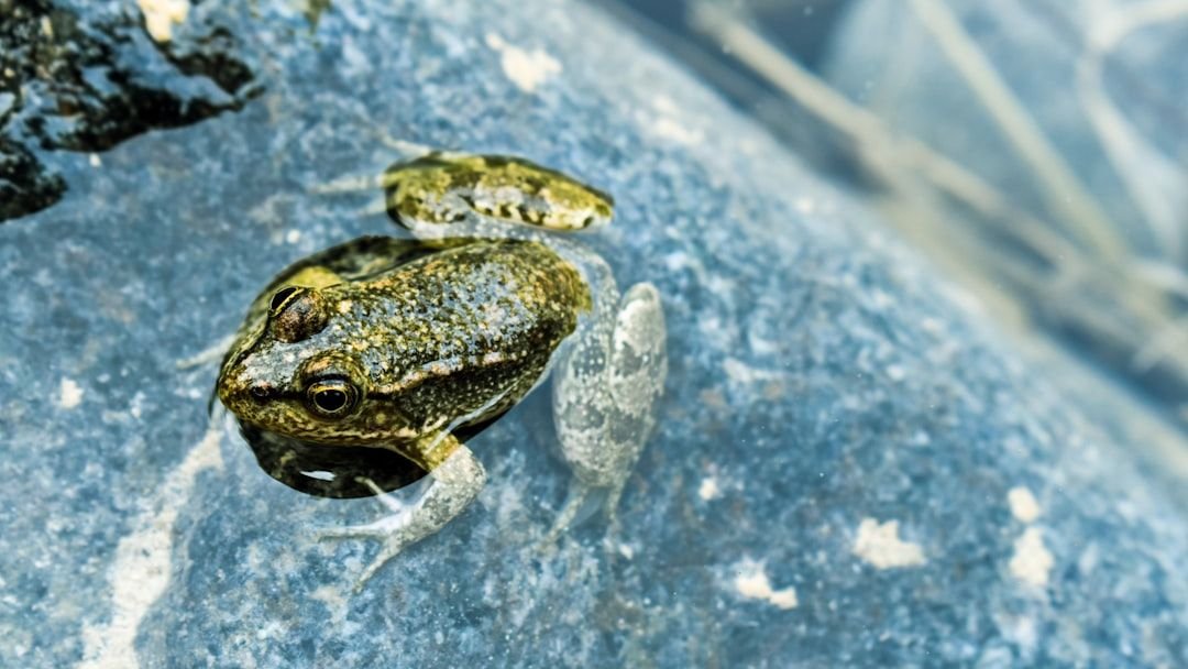 10 Amazing Biological Adaptations That Allow Animals to Thrive in Extreme Environments