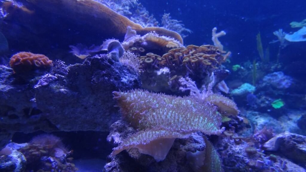 7 Astounding Ocean Discoveries That Have Challenged Marine Biology