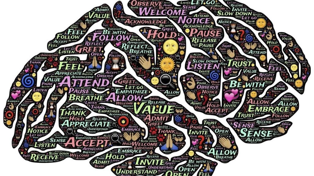 The Mysteries of Memory: How Our Brains Store and Retrieve Information