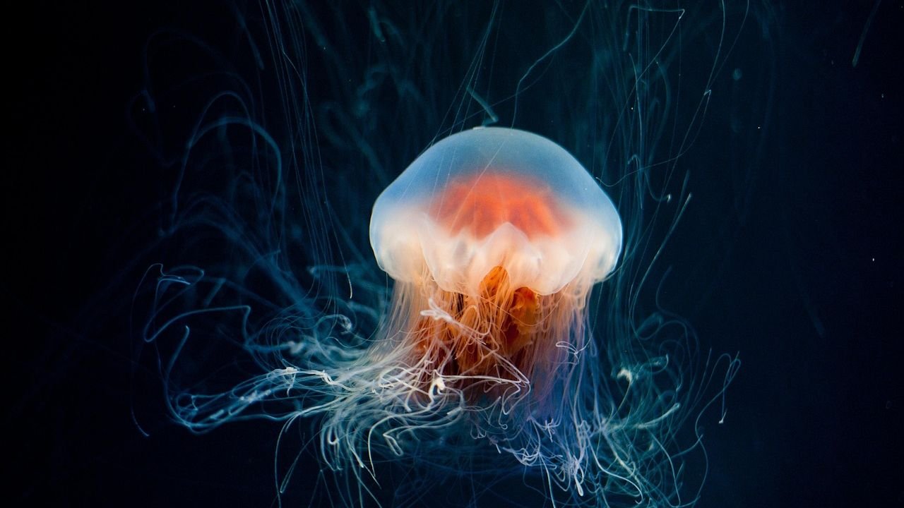 Unveiling the Secrets of the Deep: 7 Ocean Discoveries That Astonished Scientists