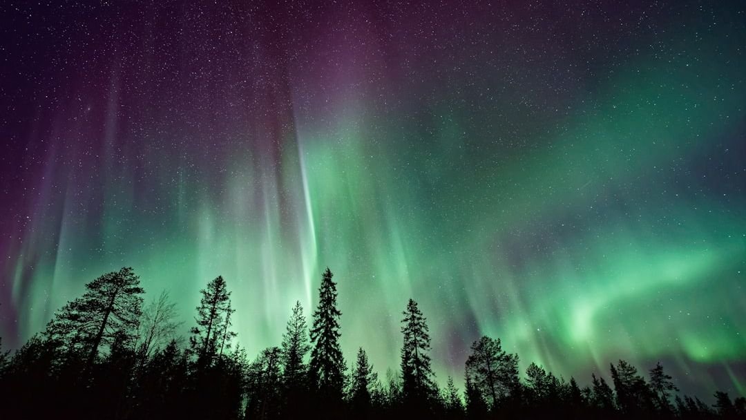 How Does the Earth Create Its Own Light? The Science of Auroras