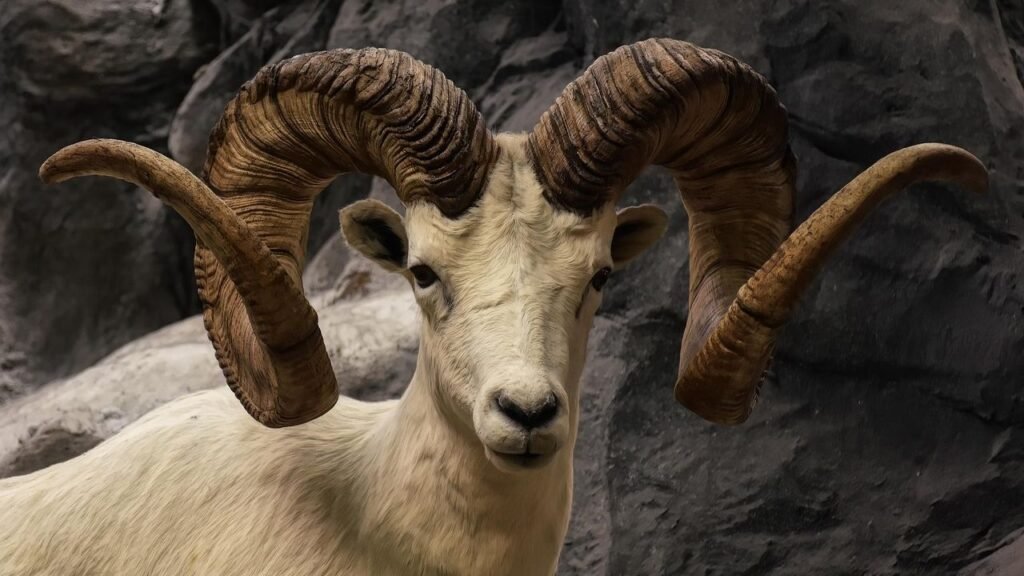 How Each Zodiac Sign Mirrors Nature's Most Ruthless Survival Traits