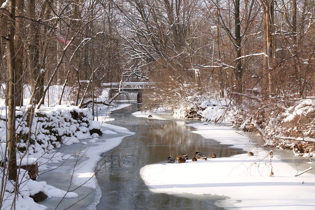 Rare Snowfall Blankets Southern U.S. as Winter Storm Ushers in Unseasonal Chill
