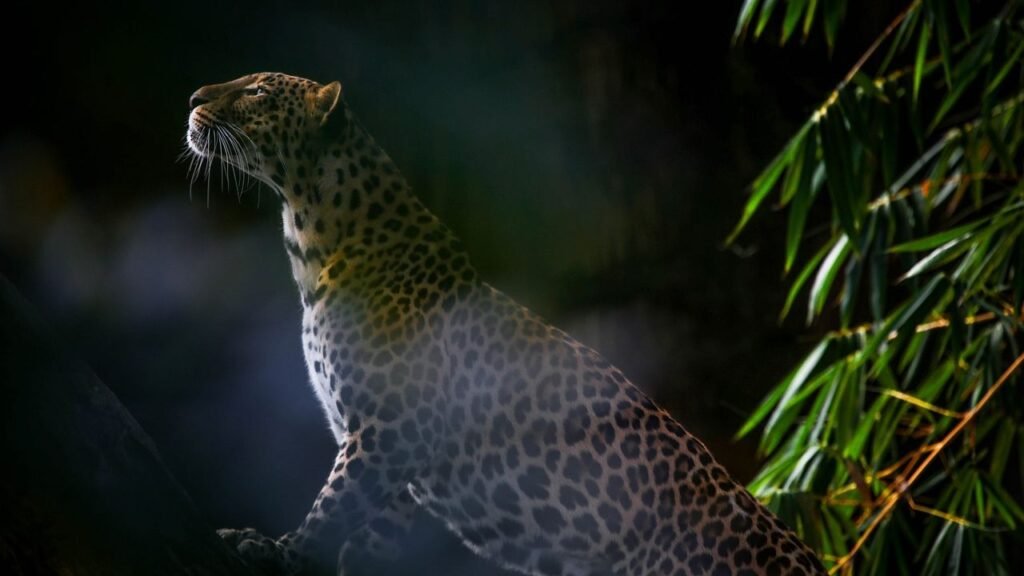 10 Unique Animal Behaviors That Have Baffled Scientists for Decades