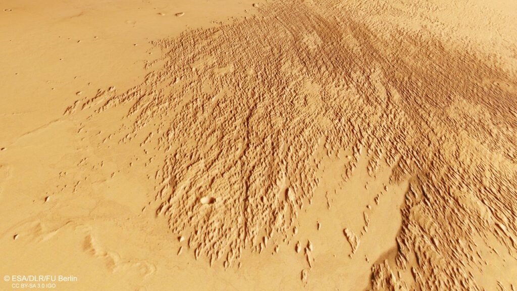 Mars orbiter sees odd etchings in the sand | Space photo of the day for Jan. 20, 2025