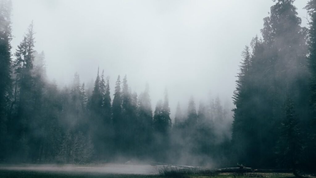 8 Extraordinary Natural Phenomena That Defy Simple Explanation