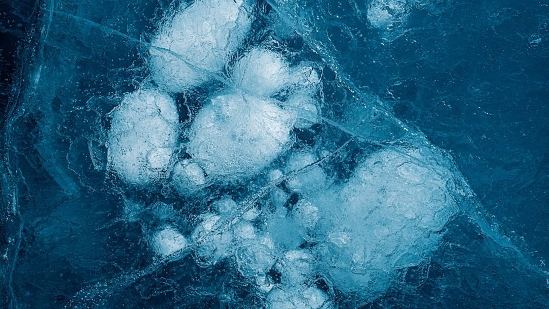 Life Thrives in Extreme Places: Discovering Organisms in Earth’s Harshest Environments