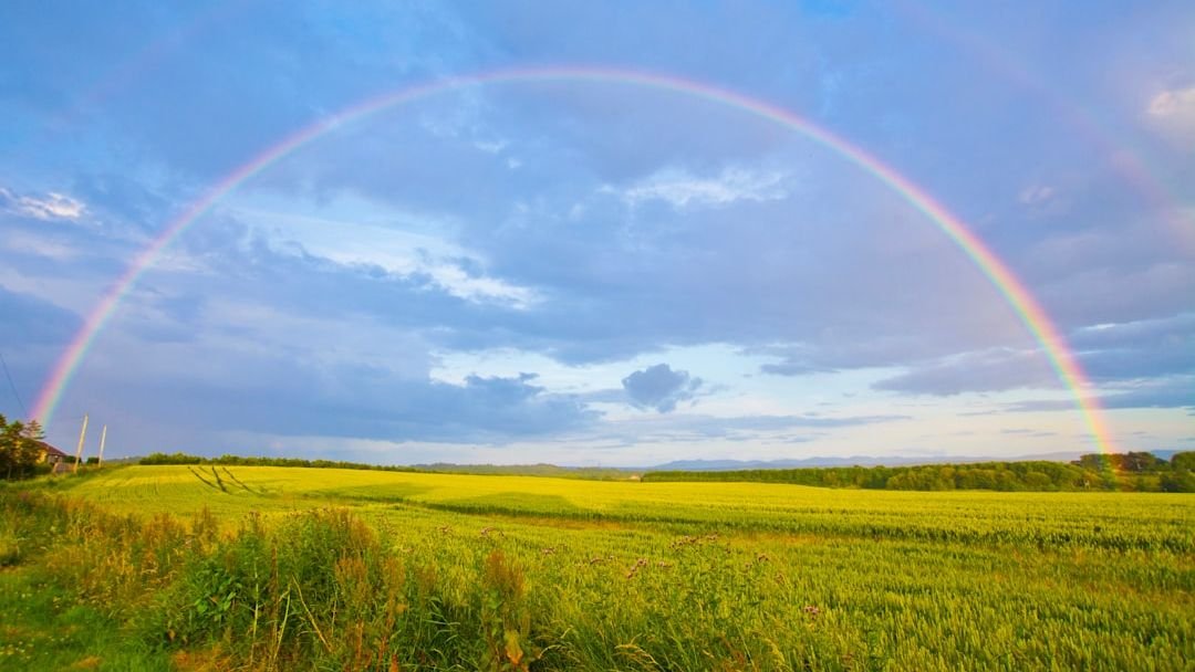 What Makes a Rainbow Appear? The Physics Behind Nature’s Colorful Arch