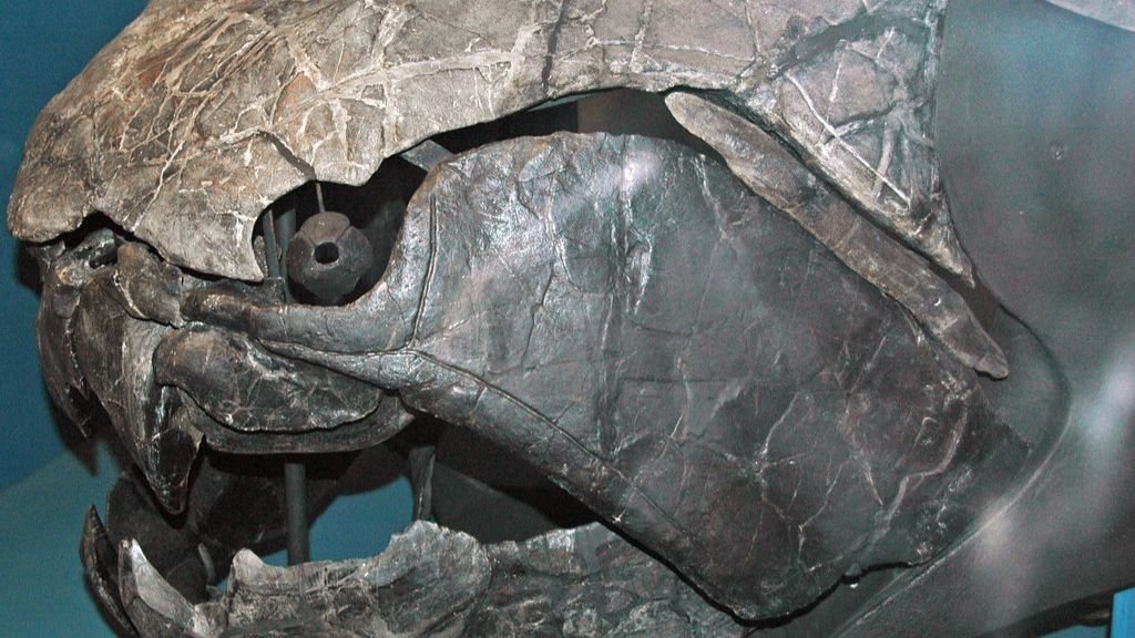 These Ancient Animals Ruled Earth Long Before Dinosaurs Existed