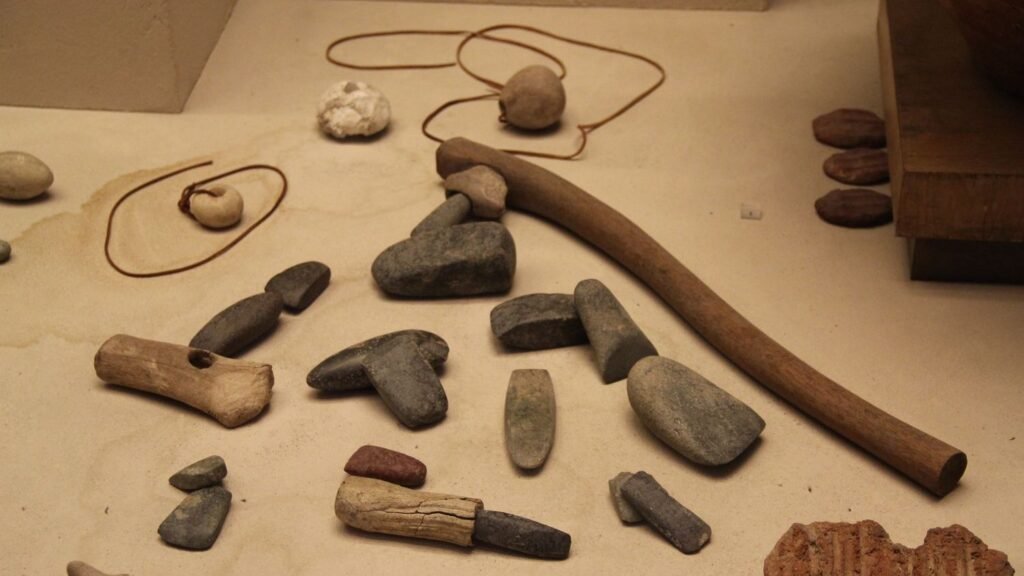 Our Ancestors' Ingenious Tools Changed the Course of Human History