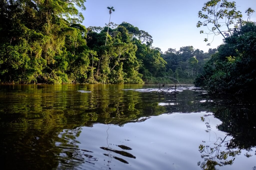 Many Amazon climate disasters are missing from official records, study finds