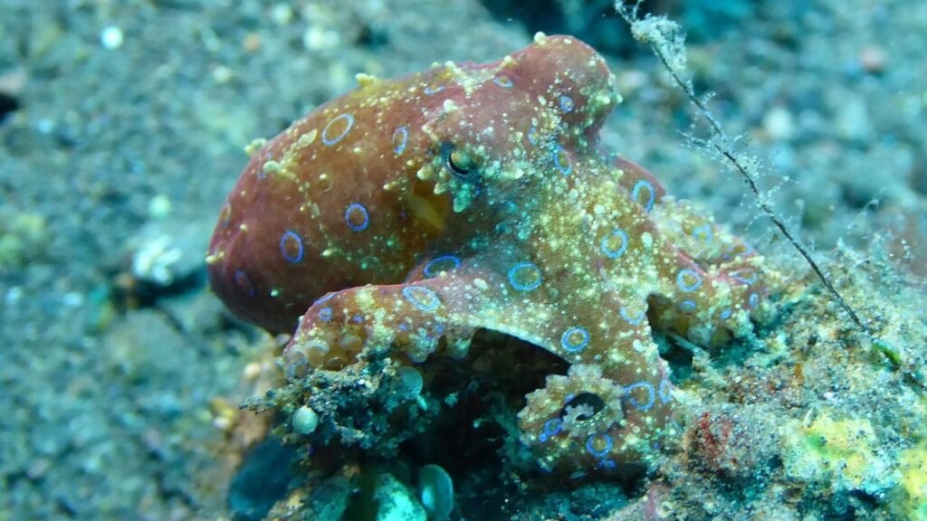 10 Unique Wildlife Behaviors That Will Leave You Questioning Reality