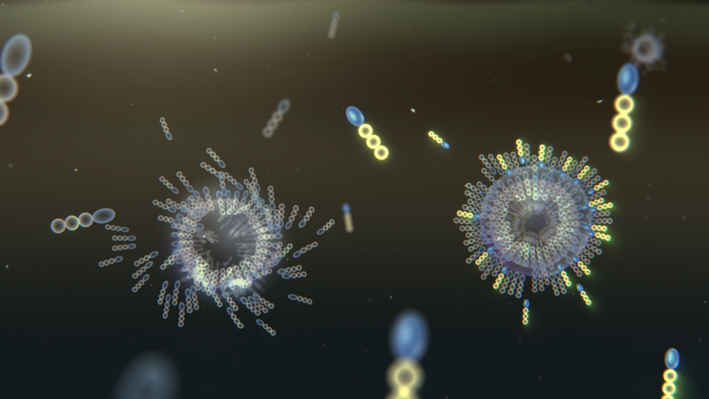 Icy cycles may have driven early protocell evolution