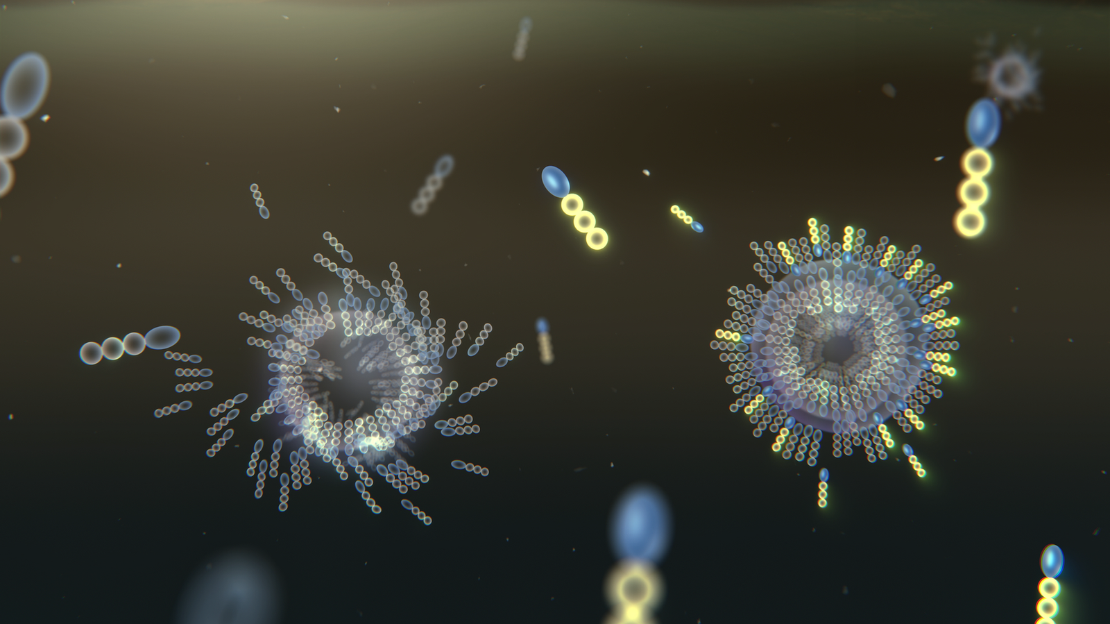 How Freeze-Thaw Cycles Shaped Primitive Cell Membranes on Early Earth