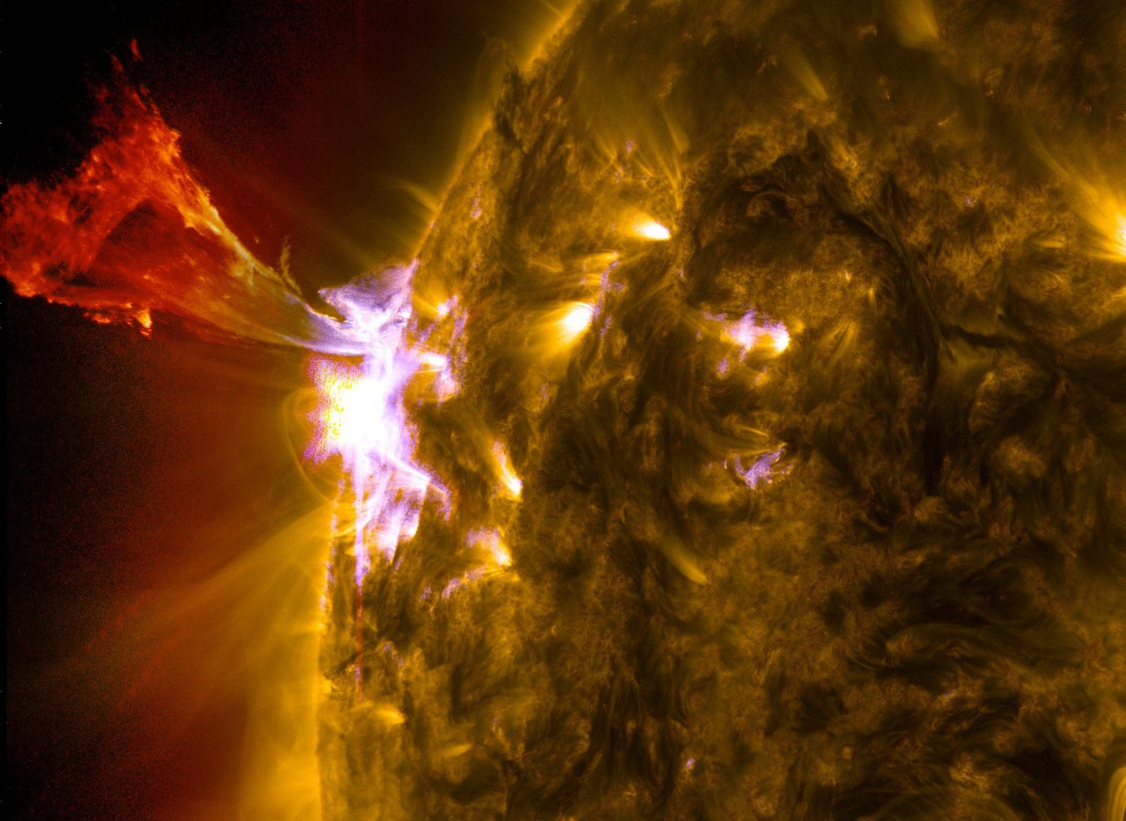 Solar Orbiter Captures Magnetic Avalanches Triggering M7.7 Solar Flare