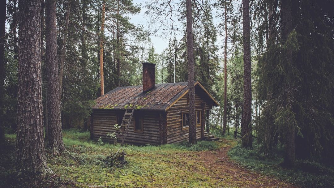 The Zodiac Signs Most Drawn To a Forest Dwelling