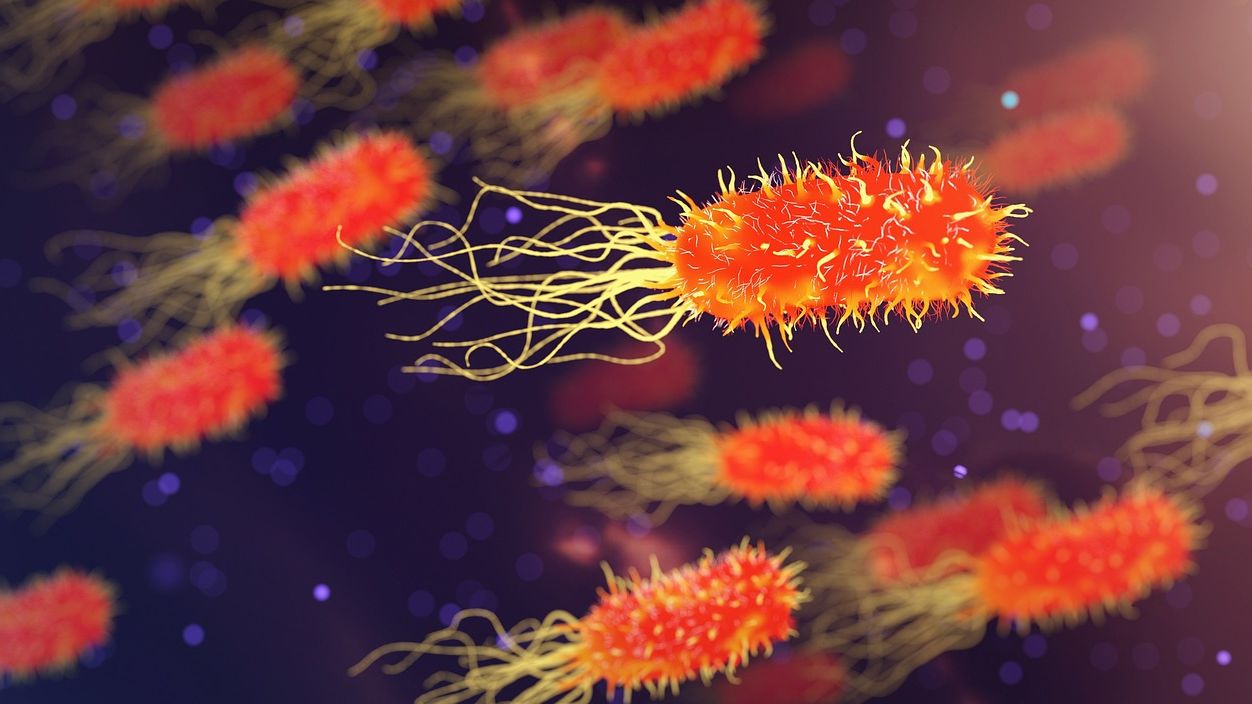 9 Hidden Wonders of Microscopic Life That Surround Us Daily