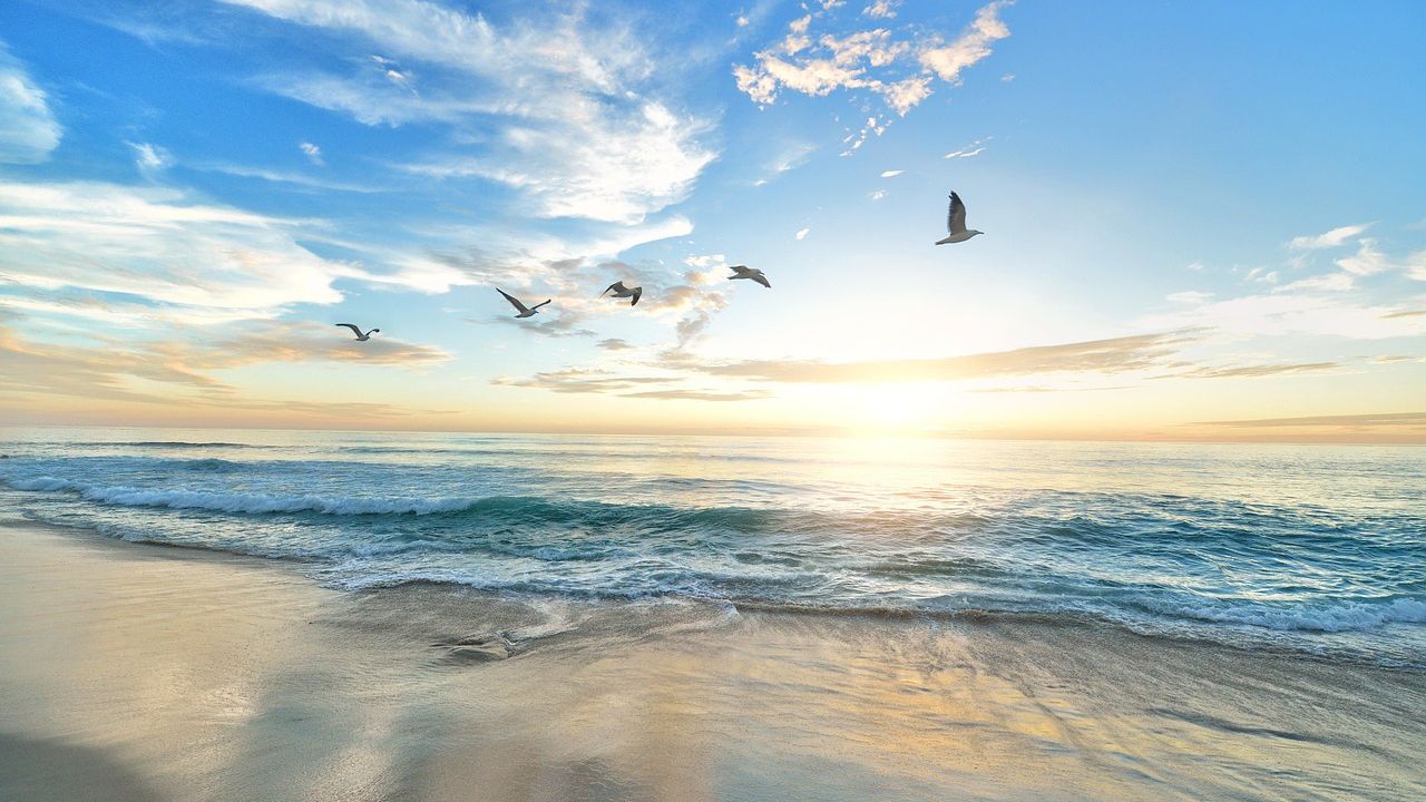 Which Zodiac Signs Are Drawn to The Ocean