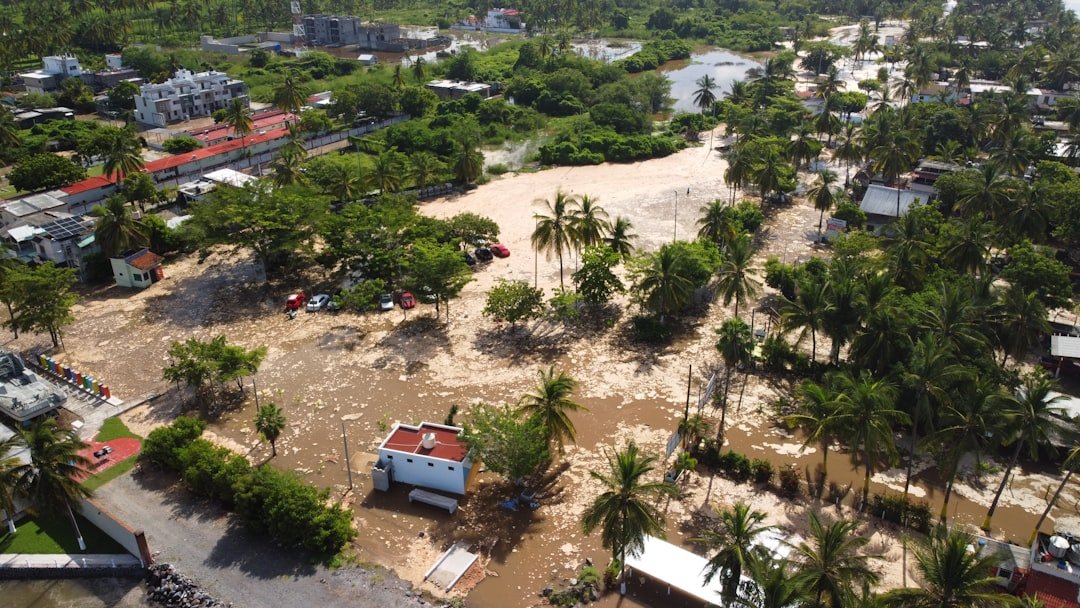 More than 87m people impacted by climate-related disasters in 2025