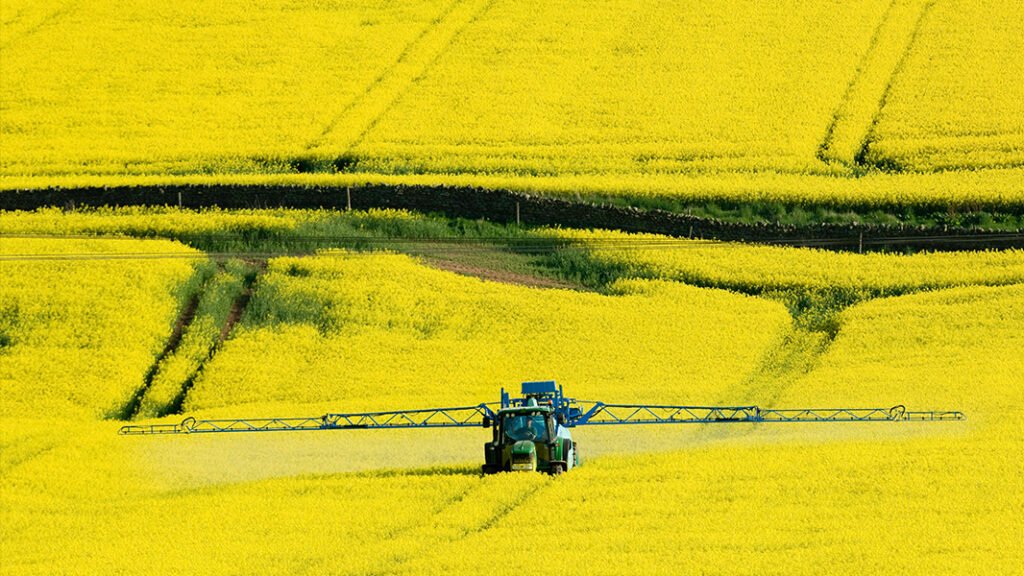 Pesticide cocktails negatively affect soil biodiversity