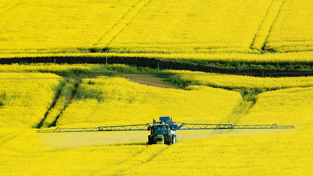 Pesticide cocktails negatively affect soil biodiversity