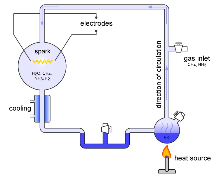 The Primordial Soup: Life in a Warm Little Pond 