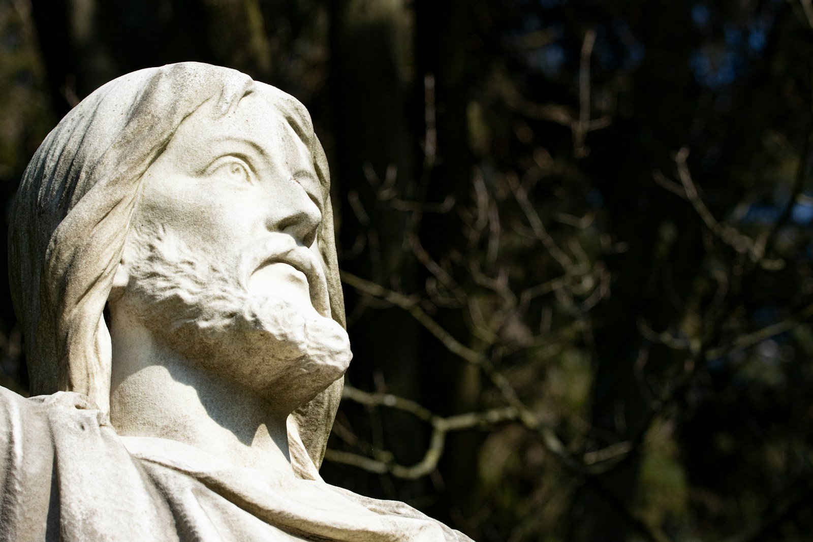 10 interesting facts about Pythagoras: A Man Ahead of His Time