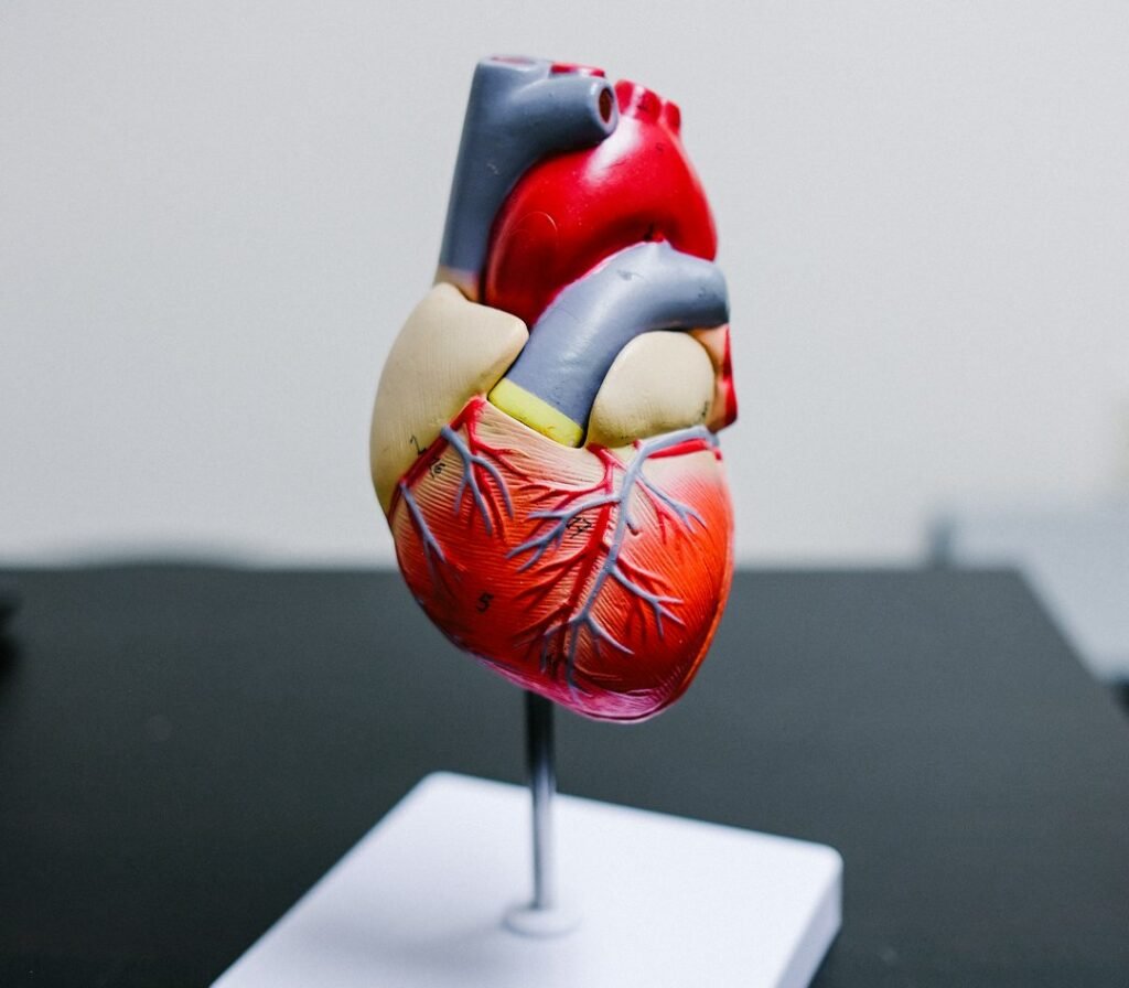 The Heart's Secret Brain Changes Everything