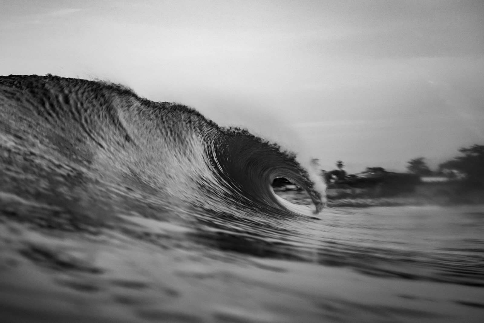 10 Unique Habitats on Earth Where Life Thrives Against All Odds