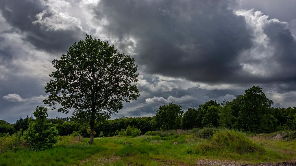 7 Fascinating Weather Events That Shaped Human History and Culture