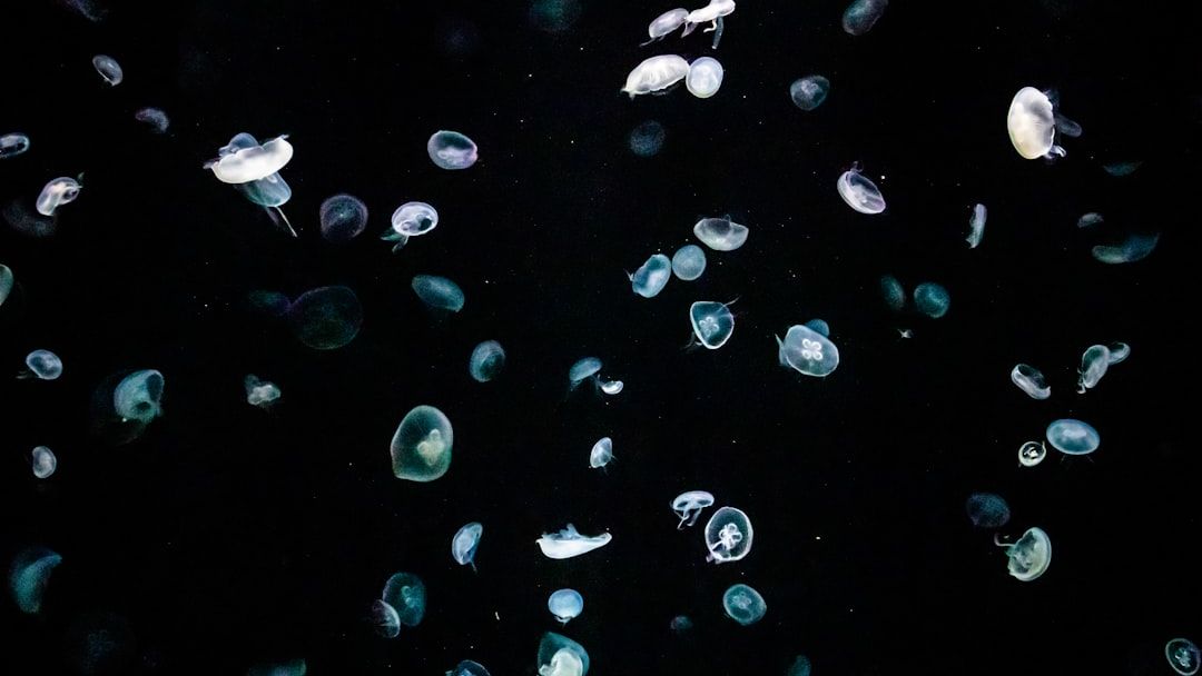 The Ocean’s Deepest Trenches: Unexplored Worlds Teeming with Bizarre Life