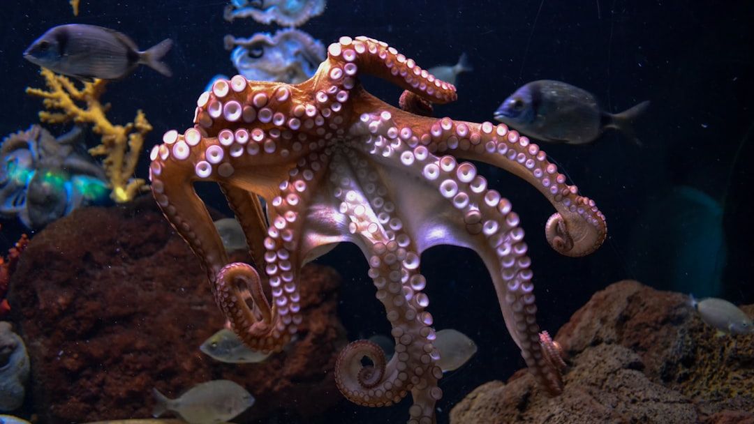 9 Mysteries of the Animal Kingdom That Science Still Can’t Explain
