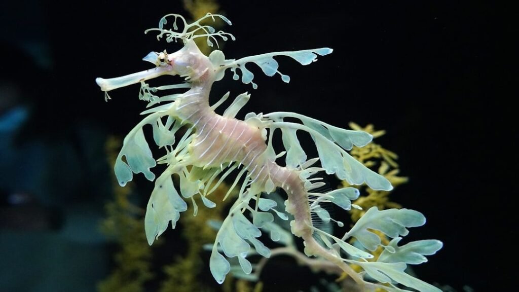 5 Animals That Have Mastered the Art of Camouflage