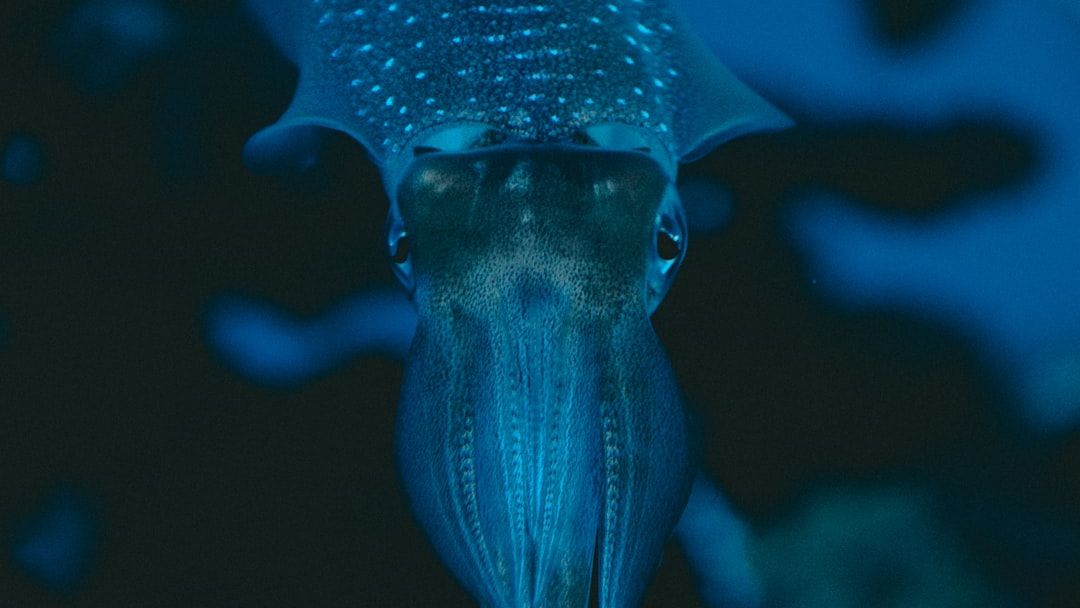 7 Incredible Creatures of the Deep Ocean That Defy Explanation