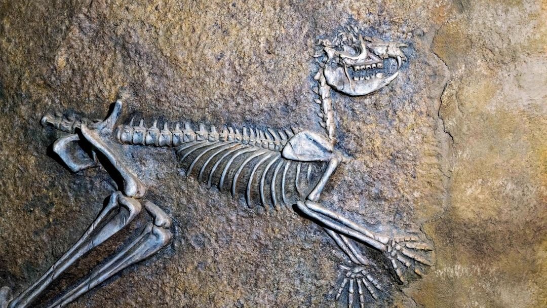 Could AI Predict Earth’s Next Mass Extinction? Scientists Think So