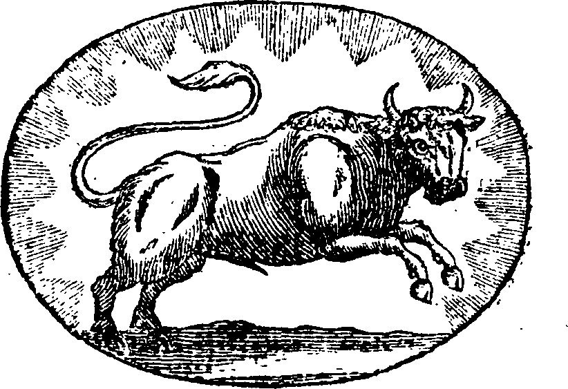 Everything Finally Falls Into Place For 3 Zodiac Signs After February 7, 2026