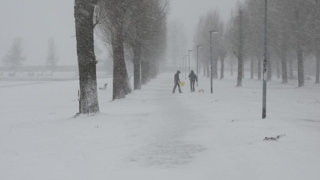 DC-area leaders analyze what went right and wrong with the region’s winter storm response