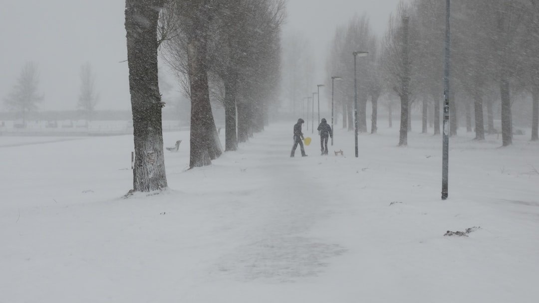 DC-area leaders analyze what went right and wrong with the region’s winter storm response