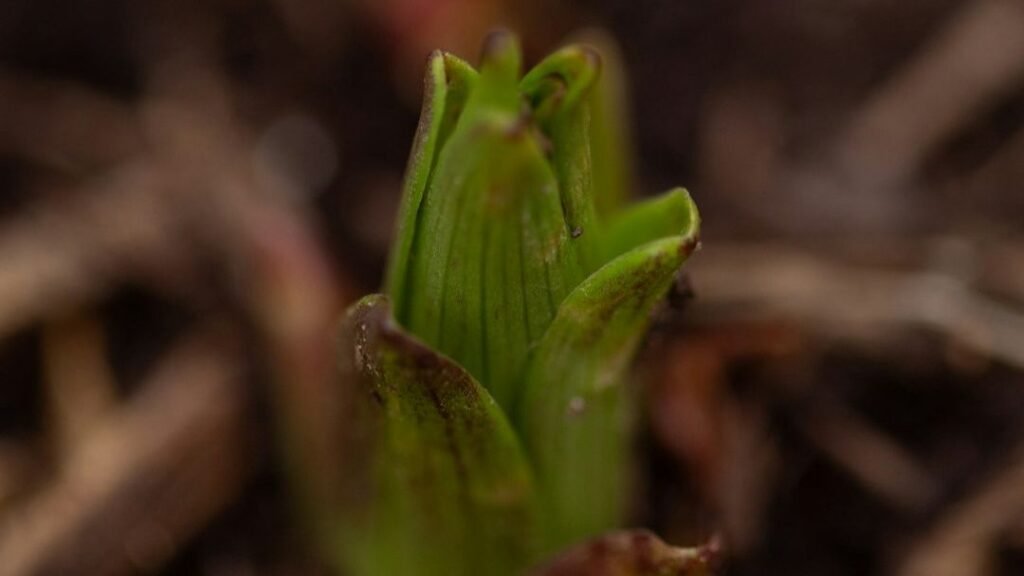 The Origin of Life: New Theories Challenge Our Understanding of Evolution