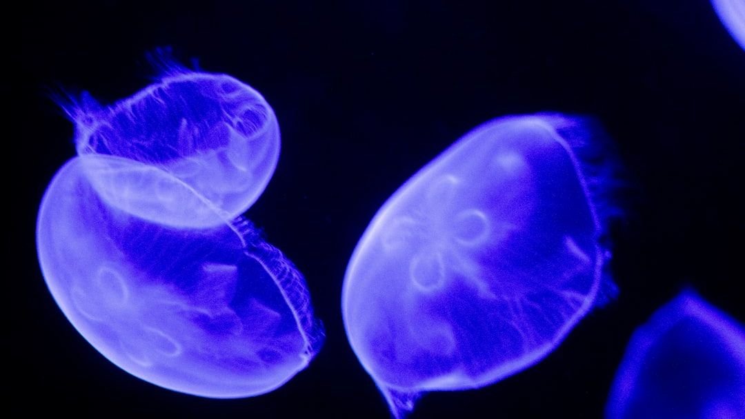 7 Incredible Creatures That Glow in the Dark (and Why They Do It)