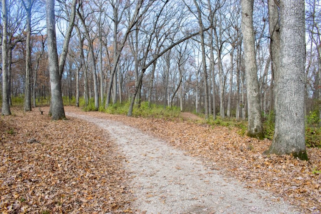 Warmer temperatures ahead for St. Louis region