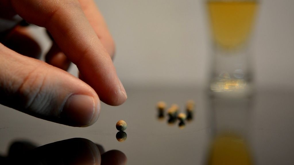 The Placebo Effect Proves the Mind's Incredible Power Over the Body