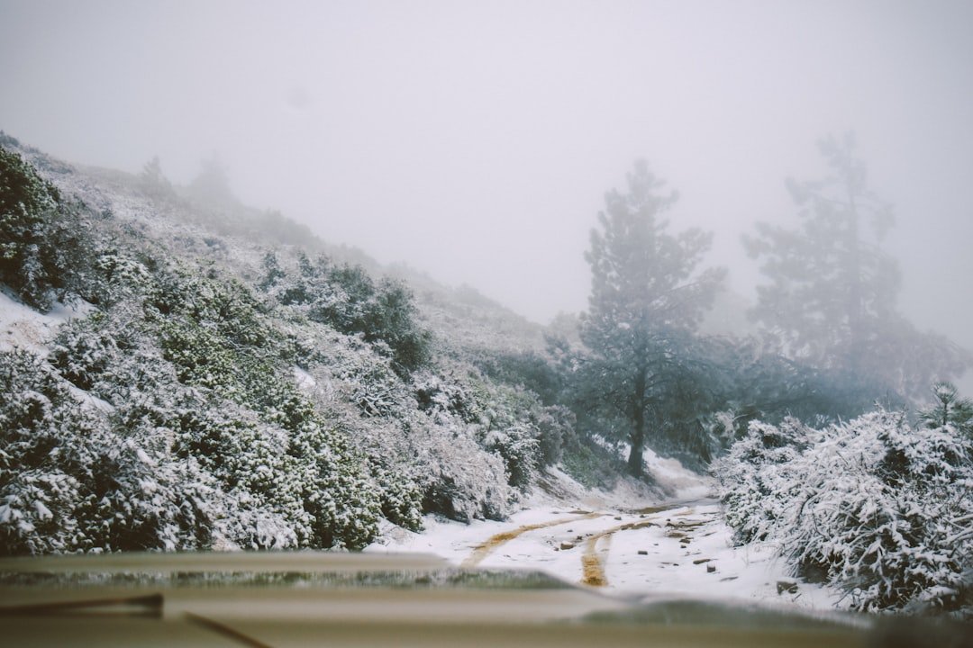 Winter Storms Could Bring 8 Feet of Snow to Parts of California