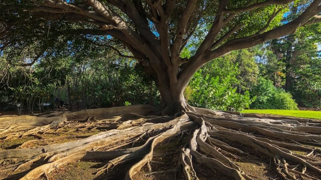 Evolution Is Not a Straight Line: Unexpected Twists in the Tree of Life